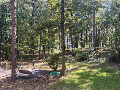 905 Audubon Point Dr, Brandon, MS 39047 photo 6