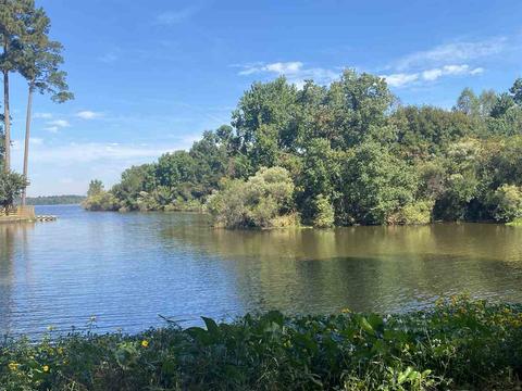 905 Audubon Point Dr, Brandon, MS 39047 photo 7
