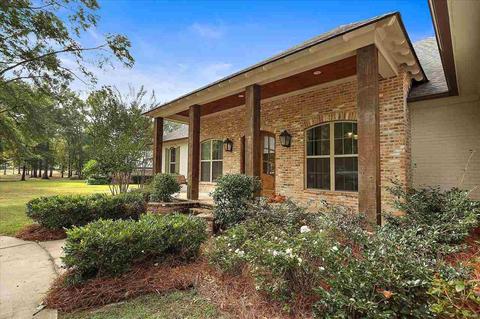 133 Buckingham Pl, Brandon, MS 39047 photo 2