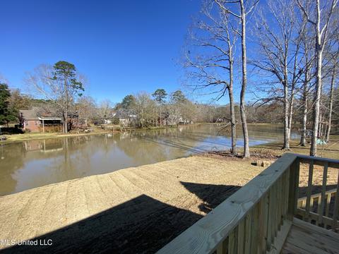 201 Pimlico Dr, Brandon, MS 39042 photo 47