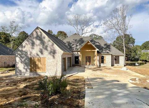 211 Pimlico Dr, Brandon, MS 39042 photo 1