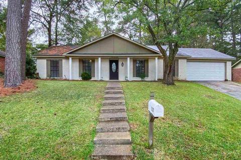 117 Firecrest Dr, Brandon, MS 39042 photo 1