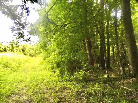 tbd New Hope Rd, Gloster, MS 39638 photo 13