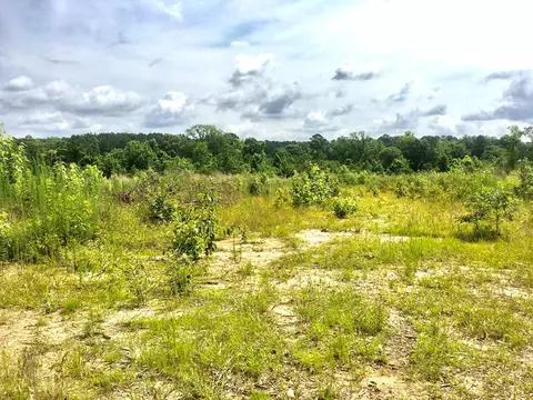 tbd New Hope Rd, Gloster, MS 39638 photo 6