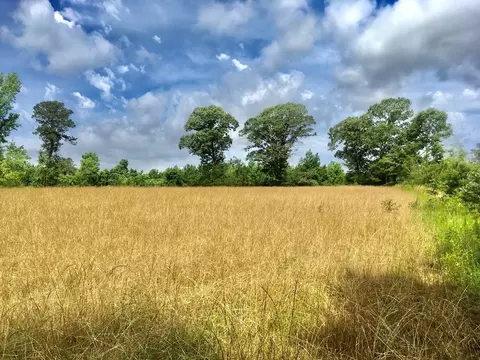 tbd New Hope Rd, Gloster, MS 39638 photo 18
