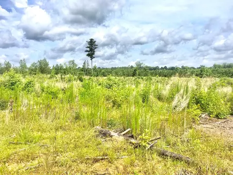 tbd New Hope Rd, Gloster, MS 39638 photo 3