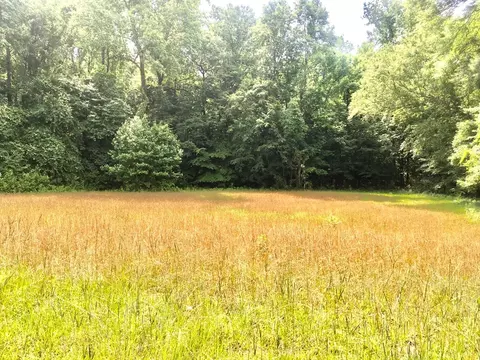 tbd New Hope Rd, Gloster, MS 39638 photo 11