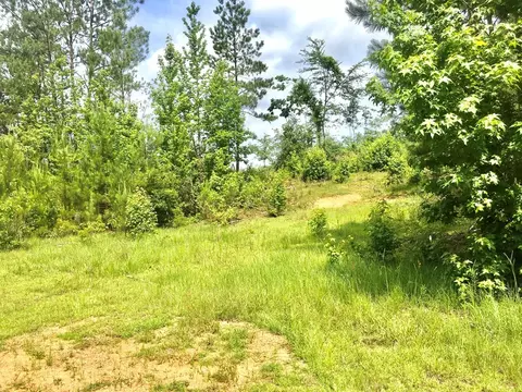 tbd New Hope Rd, Gloster, MS 39638 photo 8