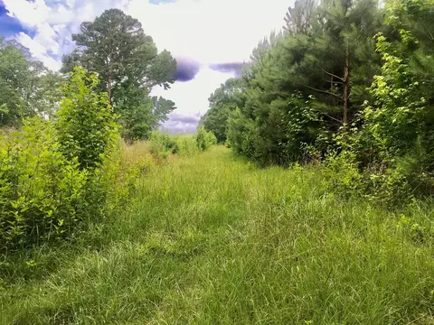 tbd New Hope Rd, Gloster, MS 39638 photo 15