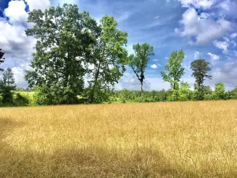 tbd New Hope Rd, Gloster, MS 39638 photo 19
