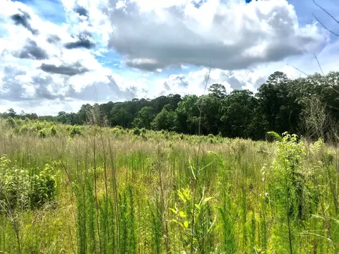 tbd New Hope Rd, Gloster, MS 39638 photo 2