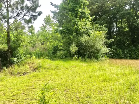 tbd New Hope Rd, Gloster, MS 39638 photo 12