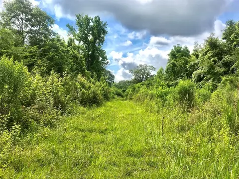 tbd New Hope Rd, Gloster, MS 39638 photo 17