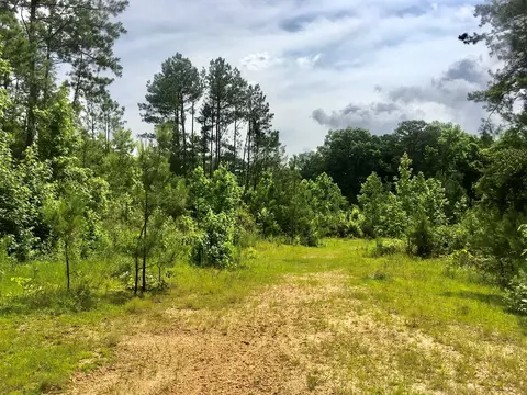 tbd New Hope Rd, Gloster, MS 39638 photo 9