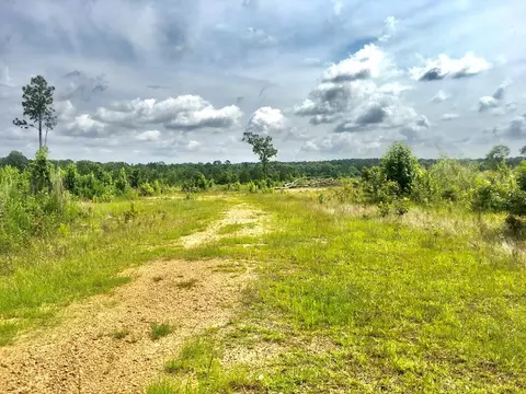 tbd New Hope Rd, Gloster, MS 39638 photo 4