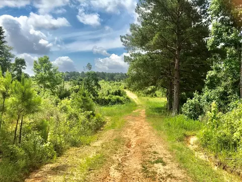 tbd New Hope Rd, Gloster, MS 39638 photo 20