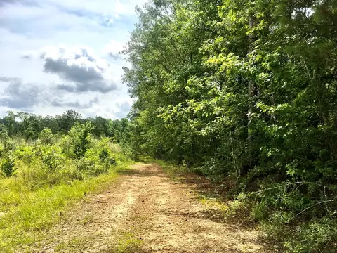 tbd New Hope Rd, Gloster, MS 39638 photo 7