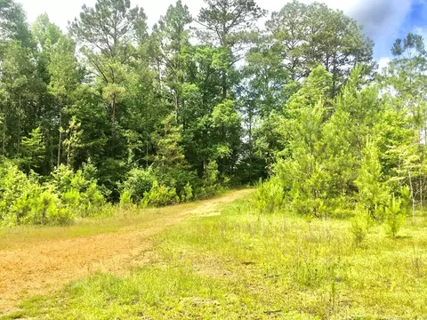 tbd New Hope Rd, Gloster, MS 39638 photo 10