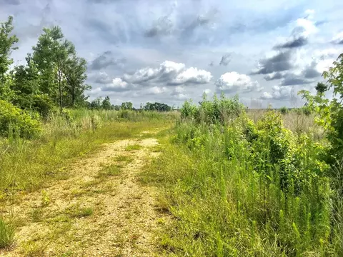 tbd New Hope Rd, Gloster, MS 39638 photo 1