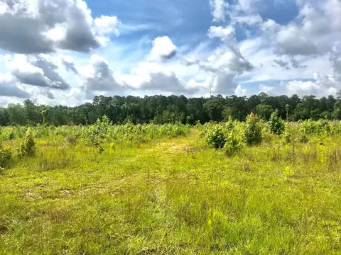 tbd New Hope Rd, Gloster, MS 39638 photo 5