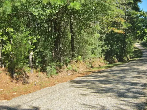 322 Nell Lambert Rd, Jayess, MS 39641 photo 17