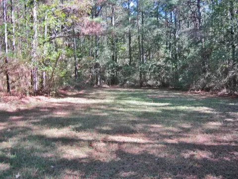 322 Nell Lambert Rd, Jayess, MS 39641 photo 3