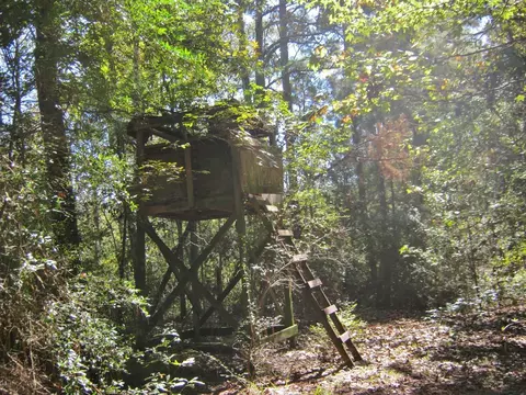 322 Nell Lambert Rd, Jayess, MS 39641 photo 14