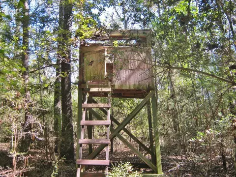 322 Nell Lambert Rd, Jayess, MS 39641 photo 5
