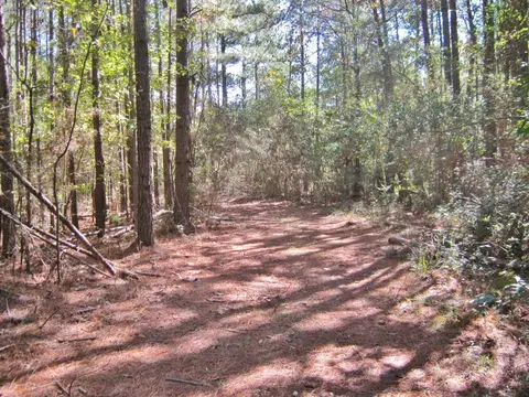 322 Nell Lambert Rd, Jayess, MS 39641 photo 6