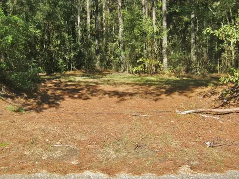 322 Nell Lambert Rd, Jayess, MS 39641 photo 16