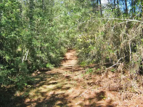 322 Nell Lambert Rd, Jayess, MS 39641 photo 11