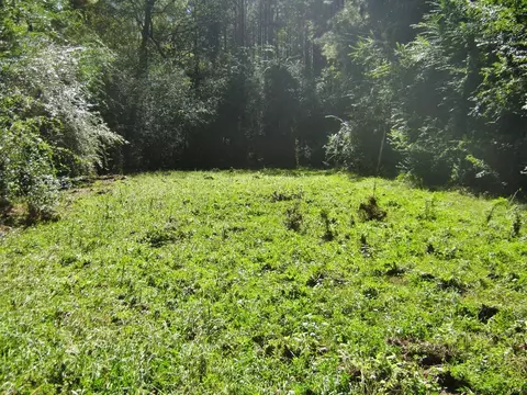 322 Nell Lambert Rd, Jayess, MS 39641 photo 12