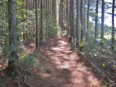 322 Nell Lambert Rd, Jayess, MS 39641 photo 18