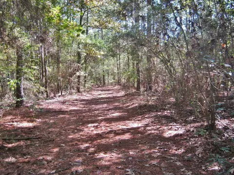 322 Nell Lambert Rd, Jayess, MS 39641 photo 15