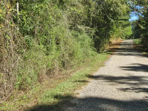 322 Nell Lambert Rd, Jayess, MS 39641 photo 2