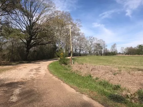 3085 Bahalia Rd, Wesson, MS 39191 photo 16