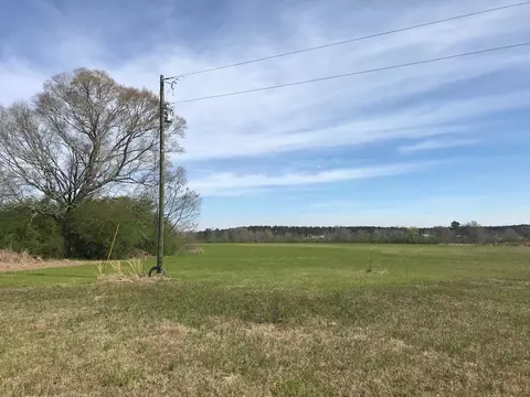 3085 Bahalia Rd, Wesson, MS 39191 photo 13