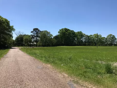 3085 Bahalia Rd, Wesson, MS 39191 photo 3