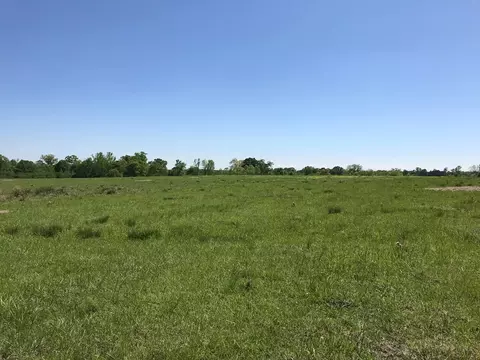 3085 Bahalia Rd, Wesson, MS 39191 photo 7