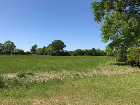 3085 Bahalia Rd, Wesson, MS 39191 photo 2