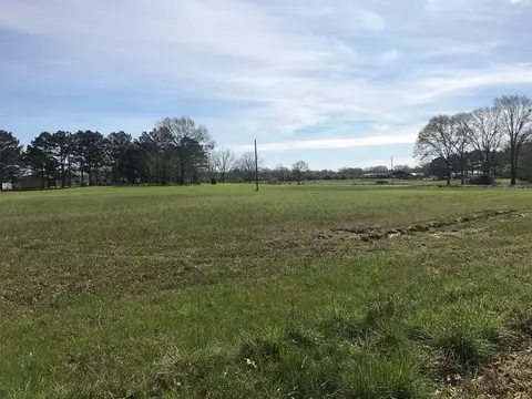 3085 Bahalia Rd, Wesson, MS 39191 photo 12