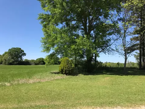 3085 Bahalia Rd, Wesson, MS 39191 photo 5