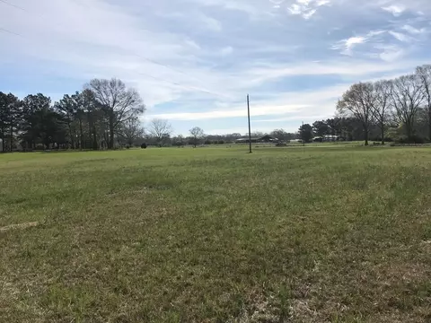 3085 Bahalia Rd, Wesson, MS 39191 photo 14