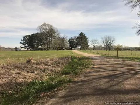 3085 Bahalia Rd, Wesson, MS 39191 photo 1