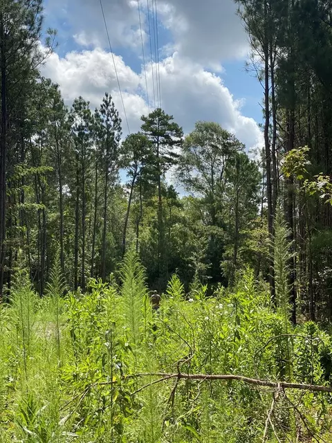 4039 Dixie, Wesson, MS 39191 photo 29