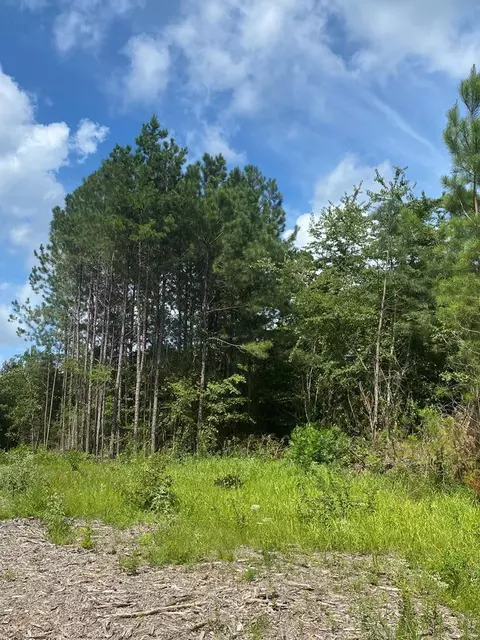 4039 Dixie, Wesson, MS 39191 photo 27