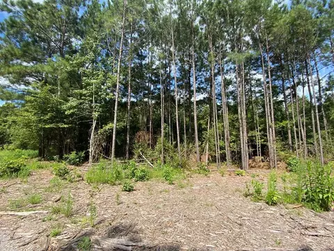4039 Dixie, Wesson, MS 39191 photo 23