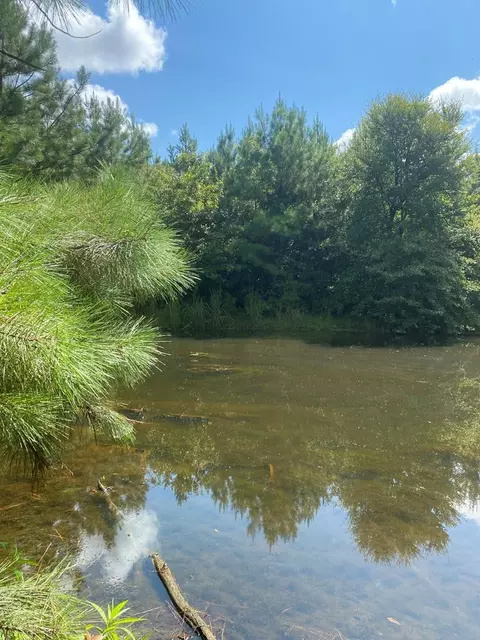 4039 Dixie, Wesson, MS 39191 photo 8