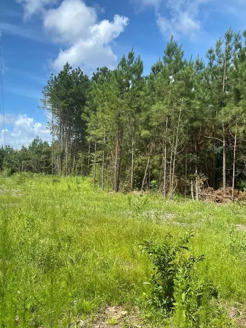 4039 Dixie, Wesson, MS 39191 photo 25