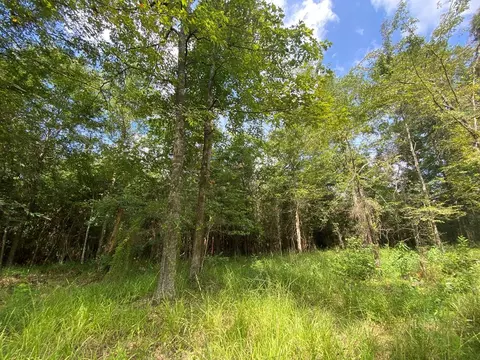 4039 Dixie, Wesson, MS 39191 photo 35